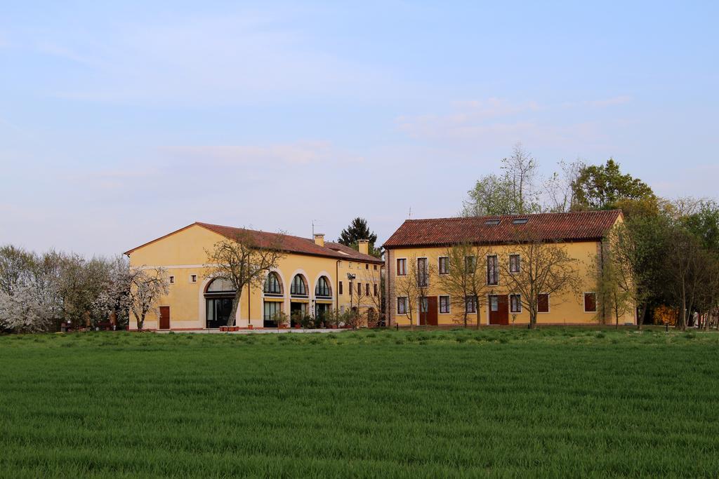 Fattoria Grimana